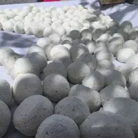 کشک گوسفندی سرحد