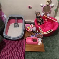 وسایل گربه صورتی