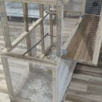 قفس چوبی پرنده دو طبقه