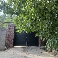 ویلایی-خیابان-داریوش-نیلوفر