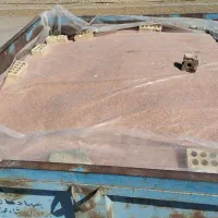 بذر دیم|لوازم جانبی حیوانات|چنگ الماسی, |دیوار