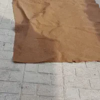 خورد و ریز منزل|فرش|نهاوند, |دیوار