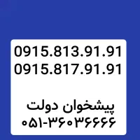 0915.813.91.91