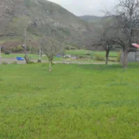 زمین در دیلمان