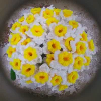 شاخه گل نرگس|گل مصنوعی|بندرعباس, |دیوار