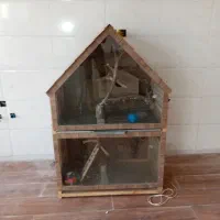 قفس قناری مرغ عشق و عروس