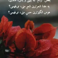 مشورت و راهنمایی