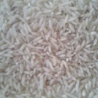 برنج طارم|خوردنی و آشامیدنی|ایلام, |دیوار