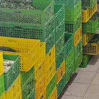 سبزیجات خرد شده