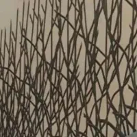 منزل-فروشی-جنت