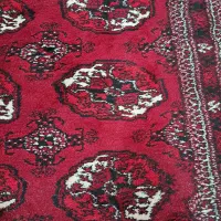 قالی ترکمنی|فرش|بندر ترکمن, |دیوار