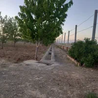 دو هزارباغ امیرآباد انجیرک