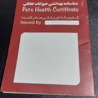 سگ خوب و حرف گوش کن|سگ|برازجان, |دیوار