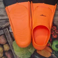 پا  فین|غواصی و ورزشهای آبی|شهرضا, |دیوار