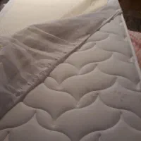 تشک نوجوان رویا اولترا