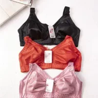 لباس زیر زنانه|لباس|کاشان, کشاورز|دیوار