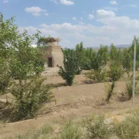 زمین دشت بجد|فروش دفتر صنعتی، کشاورزی، تجاری|بیرجند, |دیوار