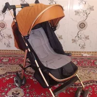 کالسکه مسافرتی