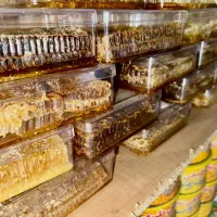 عسل ممتاز سبلان اردبیل|خوردنی و آشامیدنی|مشهد, رده|دیوار