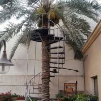 مترجم زبان عربی