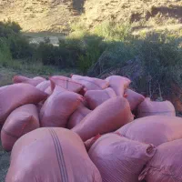 کماولوکوهستان