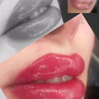مدل میکروبلیدینگ و شیدینگ لب، فقط پول مواد|خدمات آرایشگری و زیبایی|تهران, شاندیز|دیوار