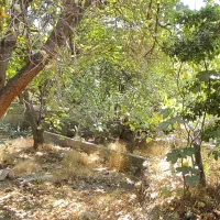 فروش باغ ۸۴۰ متری در تهران-سند-حق آبه-دیوارکشی‌شده|فروش زمین و ملک کلنگی|تهران, شهران شمالی|دیوار