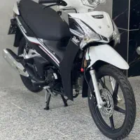 ویو بهرو فیوچر درحد خشک