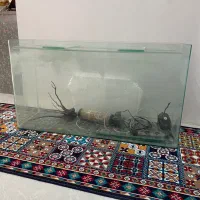 آکواریوم با تمام وسایل