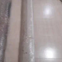 فرش ۱۲ متری سالم|فرش|رشت, ولکس|دیوار