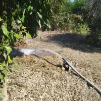 الحمدولله|خدمات پیشه و مهارت|باوی, |دیوار