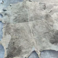 پوست گاو اصیل