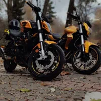 موتور بلنتا طلایz300جفت