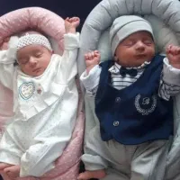 آغوشی سوئیسی و قندان فرنگی و کریر