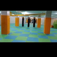 آکادمی هنرهای رزمی آرش (باشگاه ورزشی)