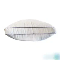 بالشت طبی