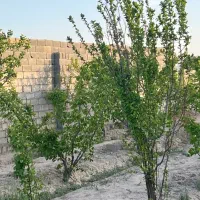 باغ-و-باغچه-محصور-سند-برق-گاز-وصل