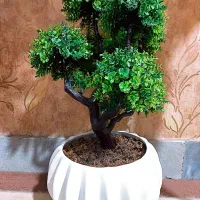 گلدان های زیبا