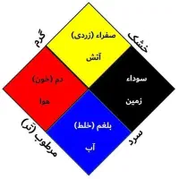 آموزش طب سنتی وفروش محصولات گیاهی