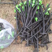 لوله کشی پلی اتیلن|خدمات باغبانی و درختکاری|اردبیل, |دیوار