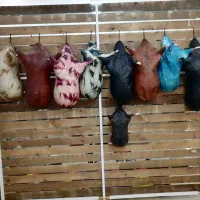 فولاد شهر انبونه 9تای اخریه