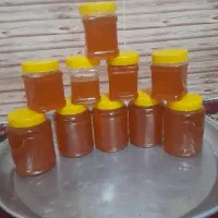 عسل