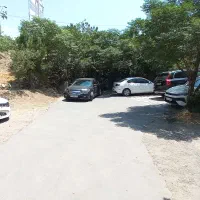 نقاش اتومبیل