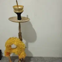 قلیون برنجی|کلکسیون و سرگرمی|رودهن, |دیوار