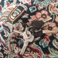 کلید و ریموت پیدا شده