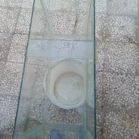 آکواریم هاهی|ماهی|قم, علی آباد سعدگان|دیوار