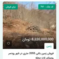 زمین باغی 2055 متری در شهر رودسر لات محله