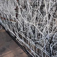 حفاظ شاخ گوزنی