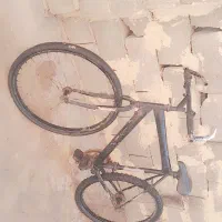 دوچرخه دنده ای|دوچرخه، اسکیت، اسکوتر|لردگان, |دیوار