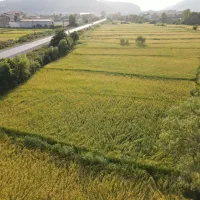 فروش زمین مناسب برای سوله|فروش دفتر صنعتی، کشاورزی، تجاری|آستارا, |دیوار